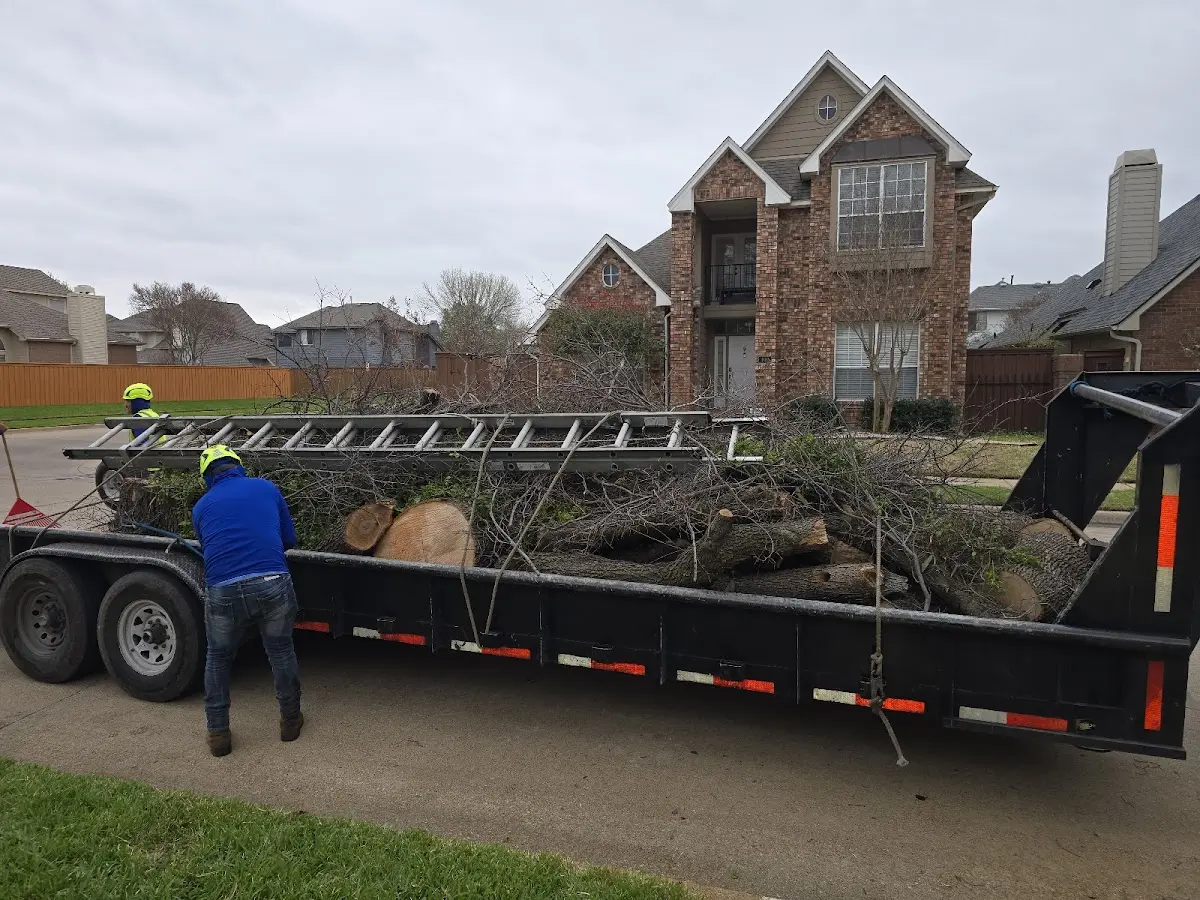 Expert Tree Pest Control with proper safety equipment in Jersey